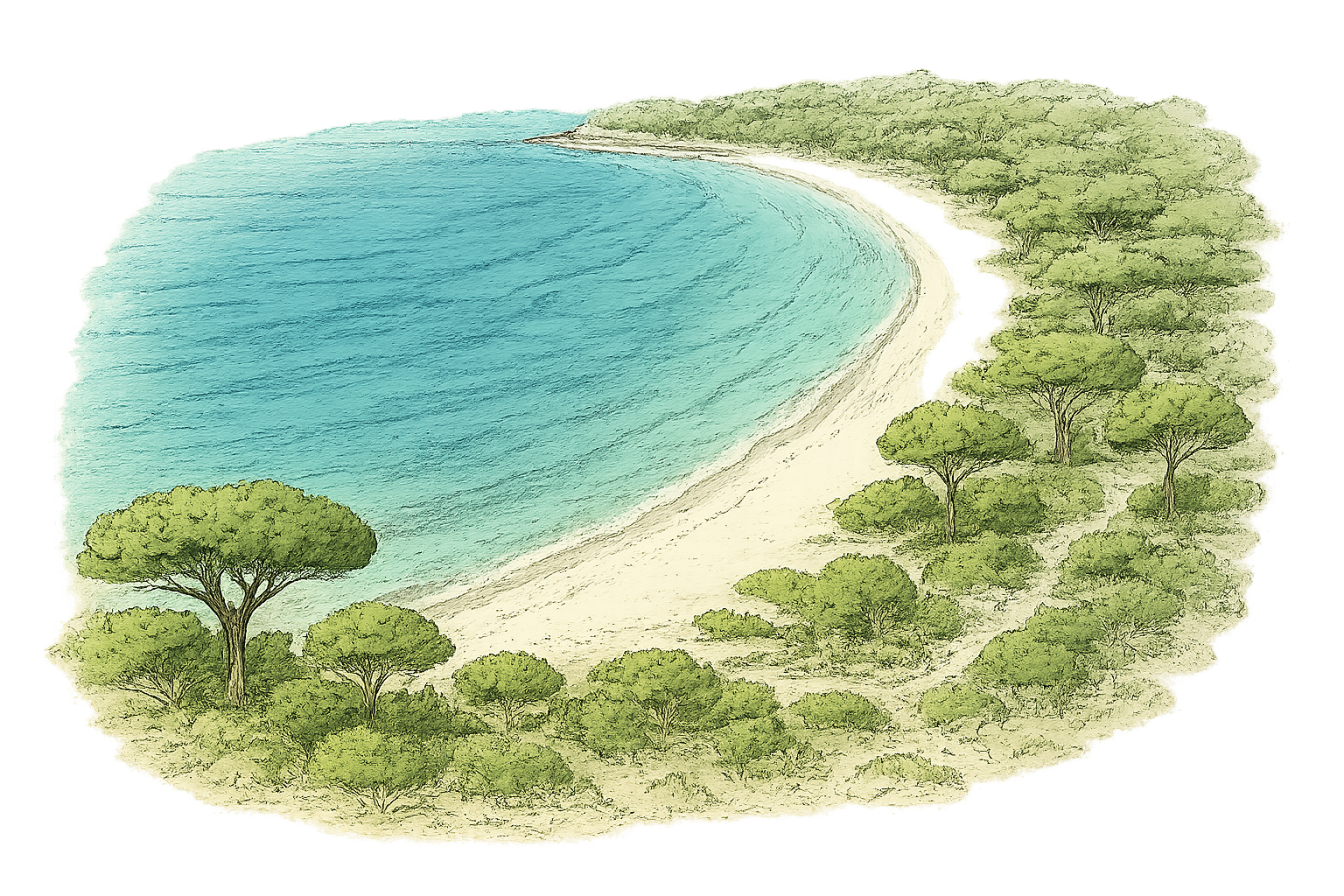 plage de palombaggia avis