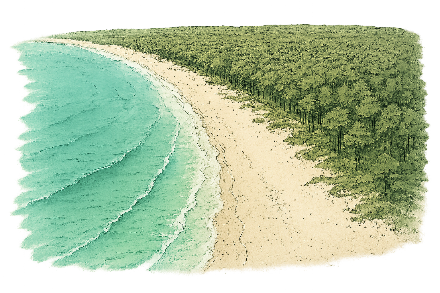 plage de pinarello avis